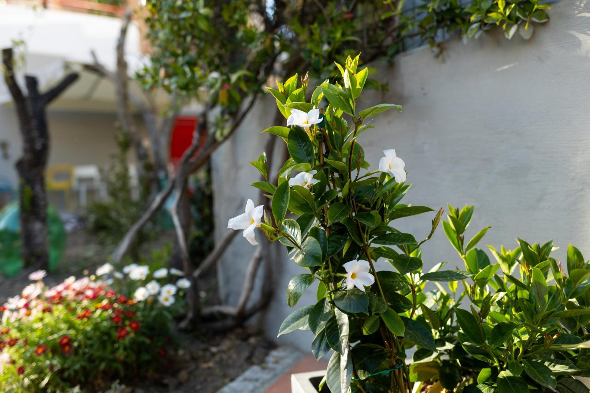 B&B Casa Gagliardi Matera Esterno foto